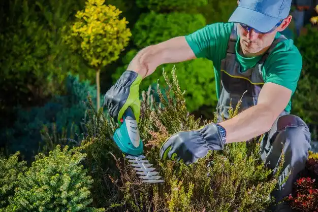 landscaping services Gray
